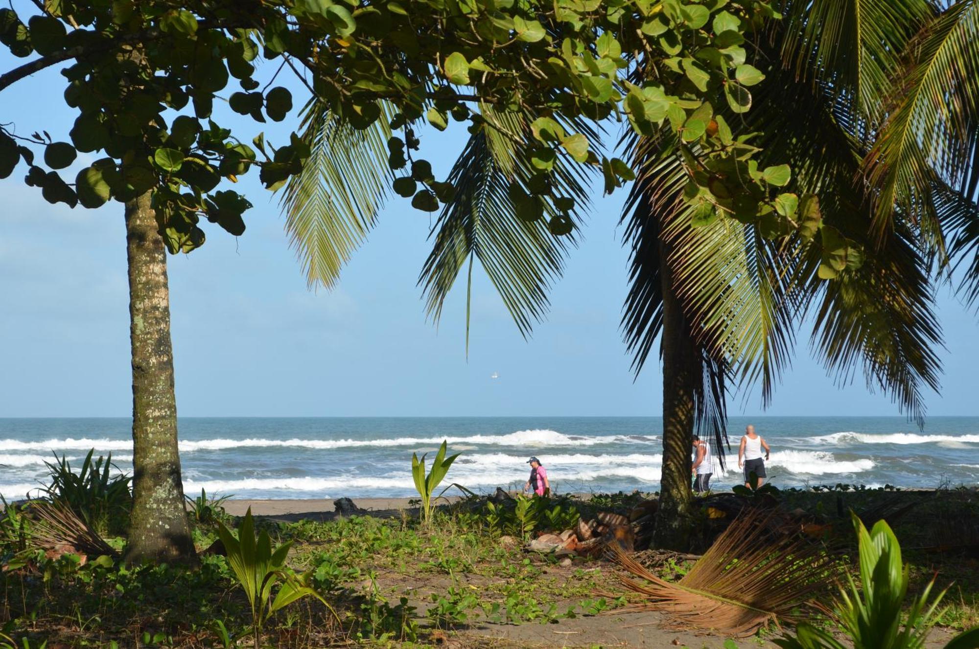 Hotel Pura Natura Beachfront Tortuguero Exterior foto